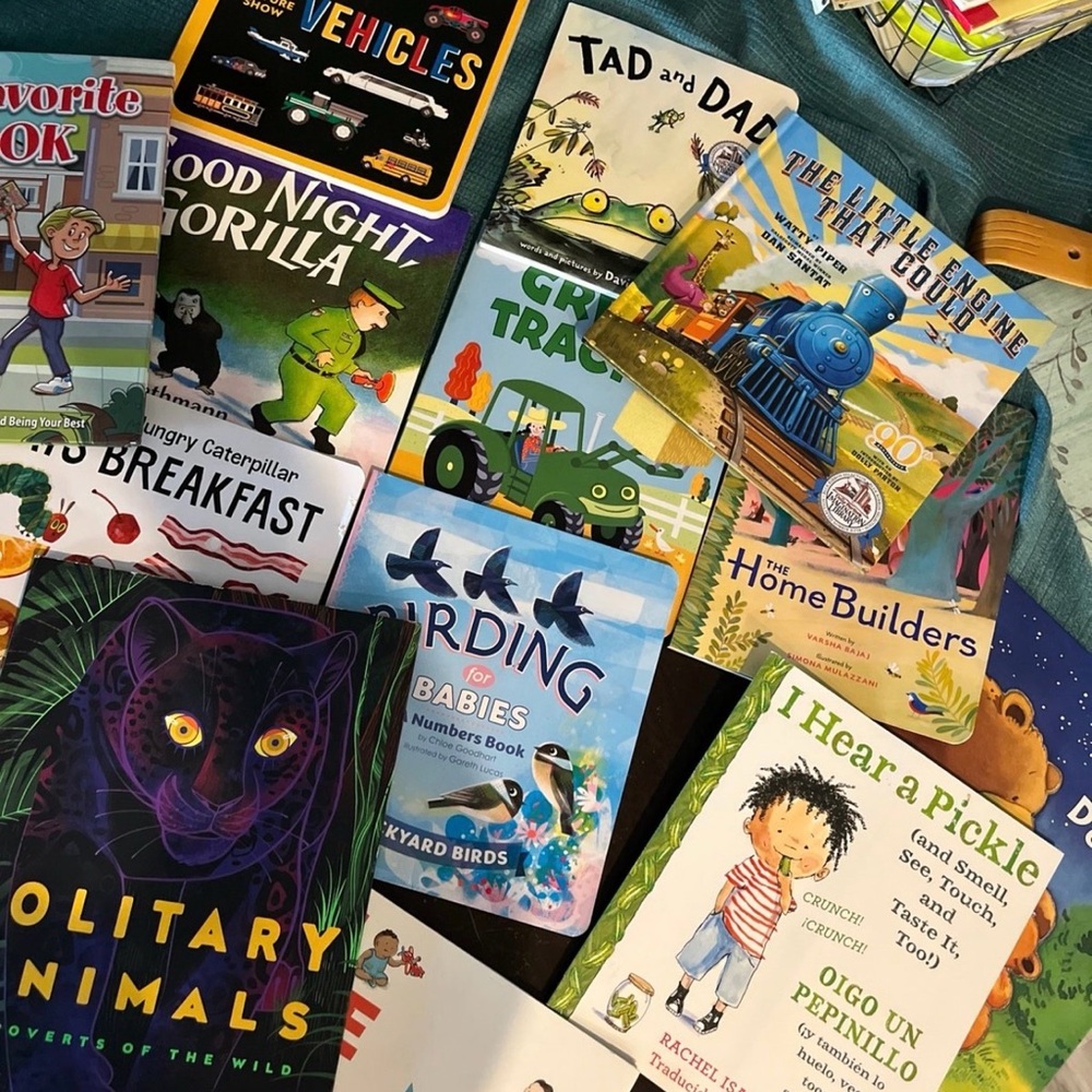 Dolly Partons imagination Children's Book Collection 15plus books hard and soft